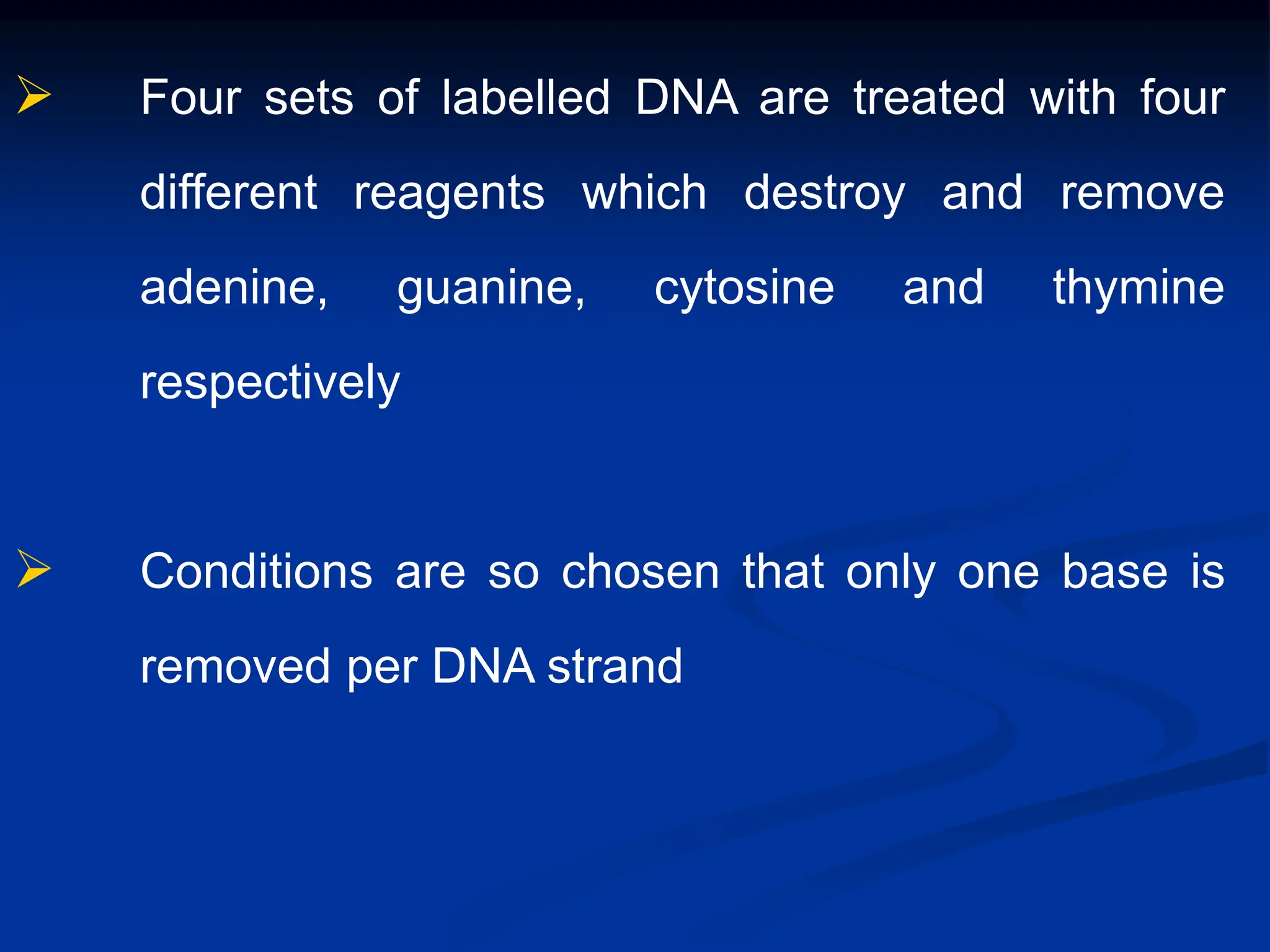  Four sets of labelled DNA are treated with four
different reagents which destroy and remove
adenine, guanine, cytosine and thymine
respectively
 Conditions are so chosen that only one base is
removed per DNA strand
 