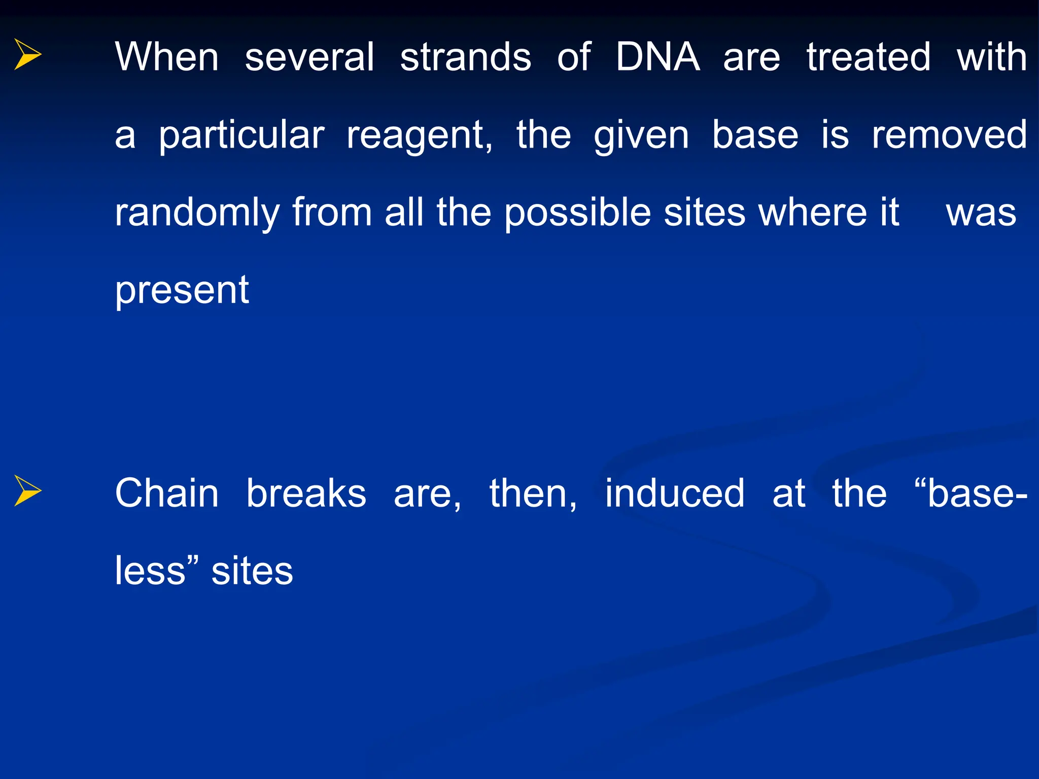  When several strands of DNA are treated with
a particular reagent, the given base is removed
randomly from all the possible sites where it was
present
 Chain breaks are, then, induced at the “base-
less” sites
 