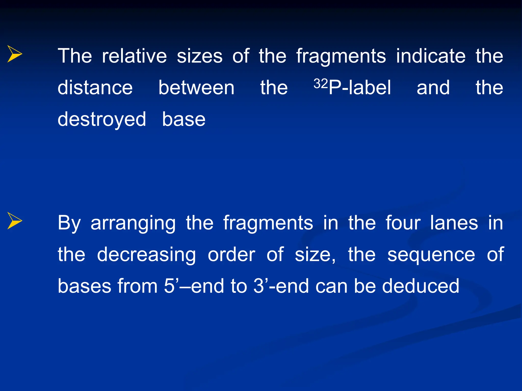  The relative sizes of the fragments indicate the
distance between the 32P-label and the
destroyed base
 By arranging the fragments in the four lanes in
the decreasing order of size, the sequence of
bases from 5’–end to 3’-end can be deduced
 