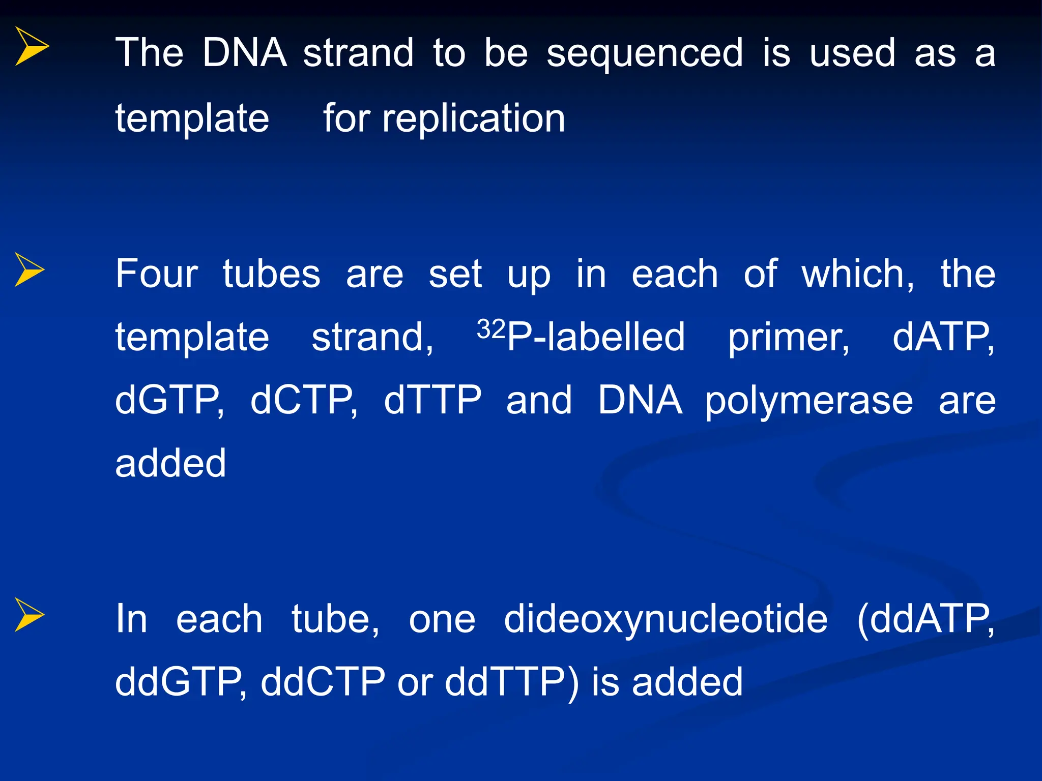  The DNA strand to be sequenced is used as a
template for replication
 Four tubes are set up in each of which, the
template strand, 32P-labelled primer, dATP,
dGTP, dCTP, dTTP and DNA polymerase are
added
 In each tube, one dideoxynucleotide (ddATP,
ddGTP, ddCTP or ddTTP) is added
 