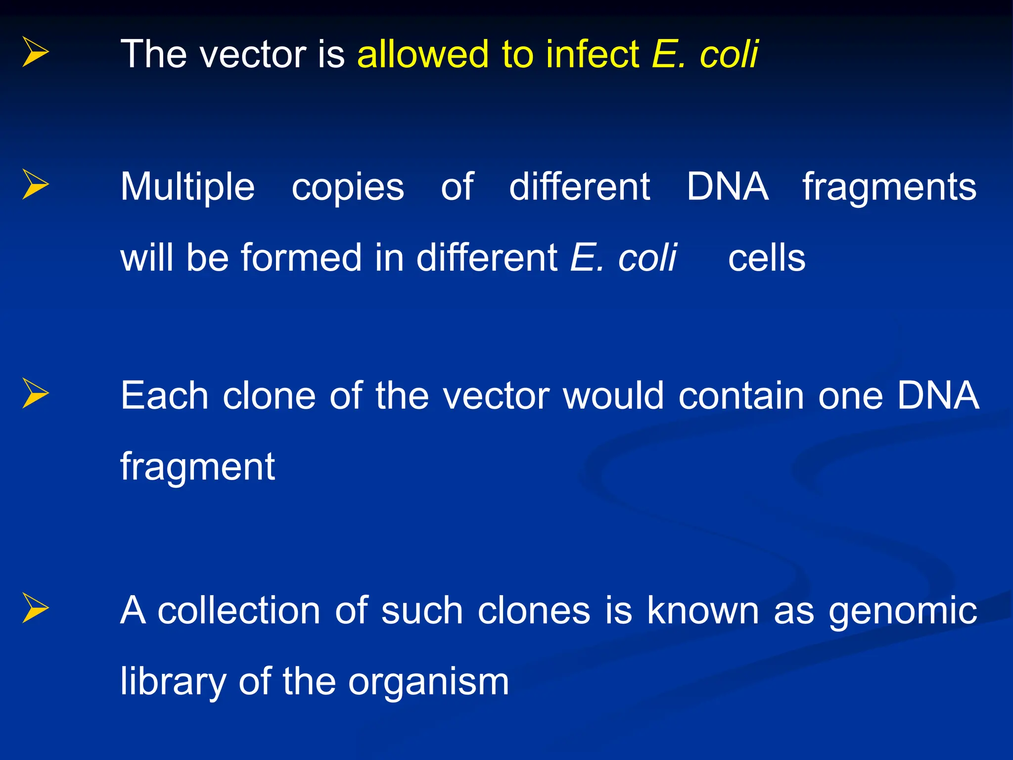  The vector is allowed to infect E. coli
 Multiple copies of different DNA fragments
will be formed in different E. coli cells
 Each clone of the vector would contain one DNA
fragment
 A collection of such clones is known as genomic
library of the organism
 