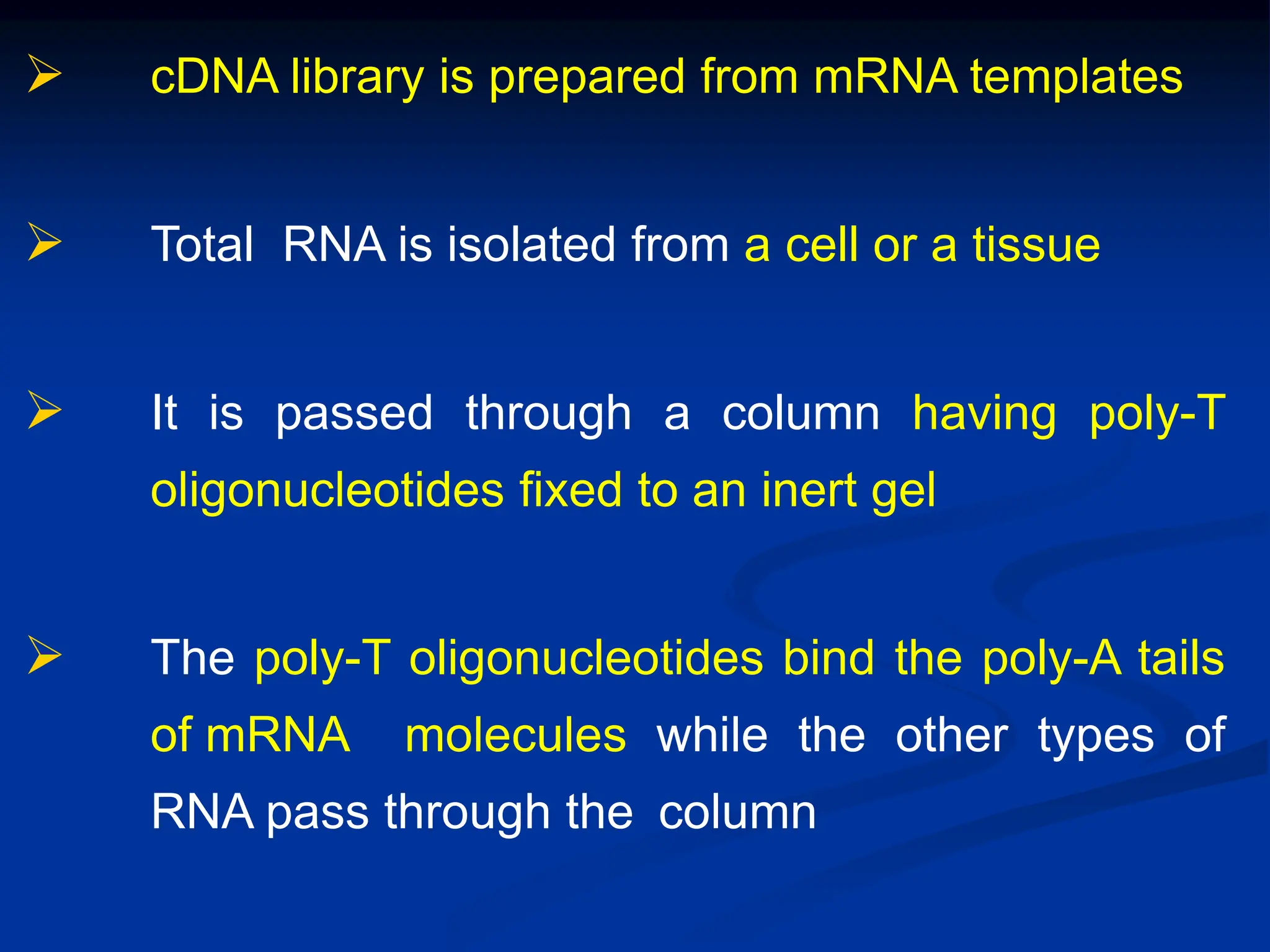  cDNA library is prepared from mRNA templates
 Total RNA is isolated from a cell or a tissue
 It is passed through a column having poly-T
oligonucleotides fixed to an inert gel
 The poly-T oligonucleotides bind the poly-A tails
of mRNA molecules while the other types of
RNA pass through the column
 