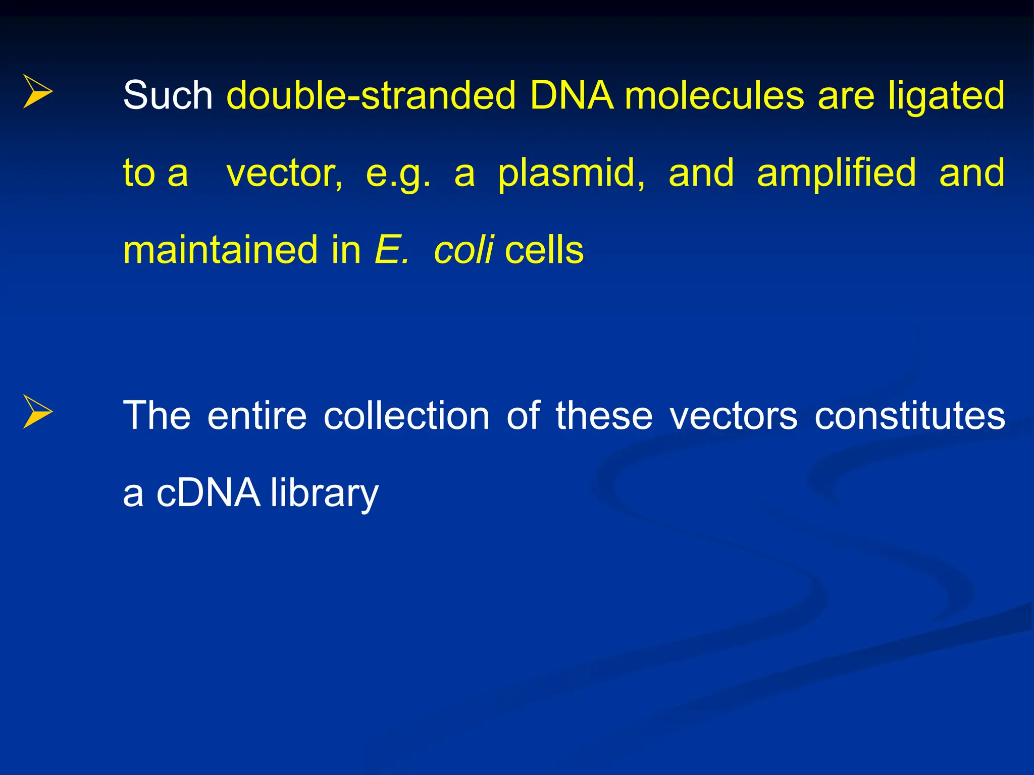  Such double-stranded DNA molecules are ligated
to a vector, e.g. a plasmid, and amplified and
maintained in E. coli cells
 The entire collection of these vectors constitutes
a cDNA library
 