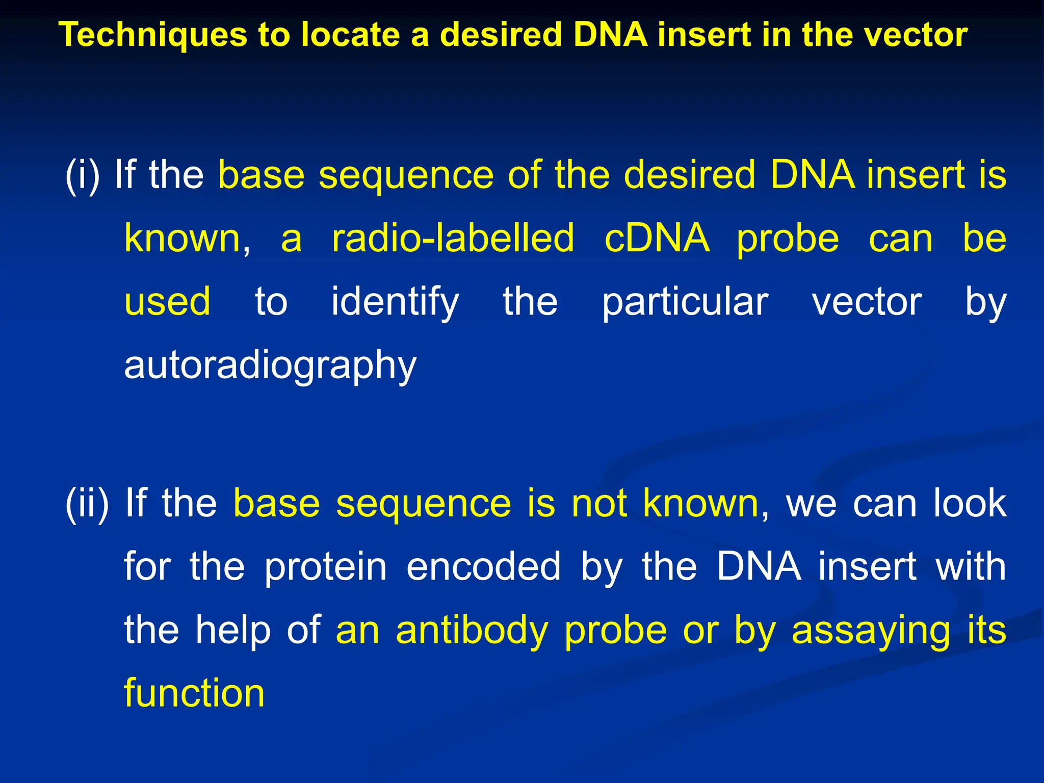 Techniques to locate a desired DNA insert in the vector
(i) If the base sequence of the desired DNA insert is
known, a radio-labelled cDNA probe can be
used to identify the particular vector by
autoradiography
(ii) If the base sequence is not known, we can look
for the protein encoded by the DNA insert with
the help of an antibody probe or by assaying its
function
 