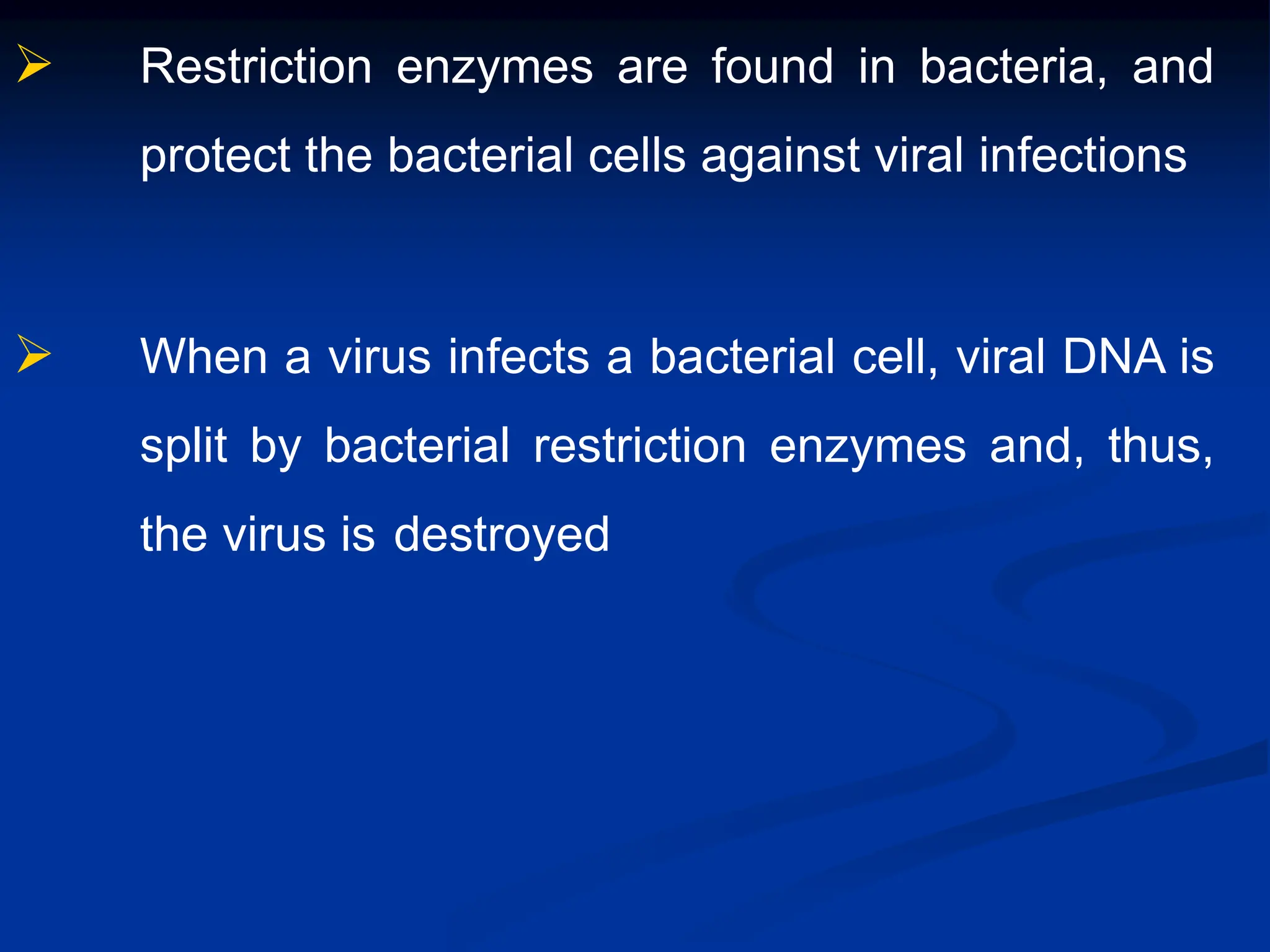  Restriction enzymes are found in bacteria, and
protect the bacterial cells against viral infections
 When a virus infects a bacterial cell, viral DNA is
split by bacterial restriction enzymes and, thus,
the virus is destroyed
 