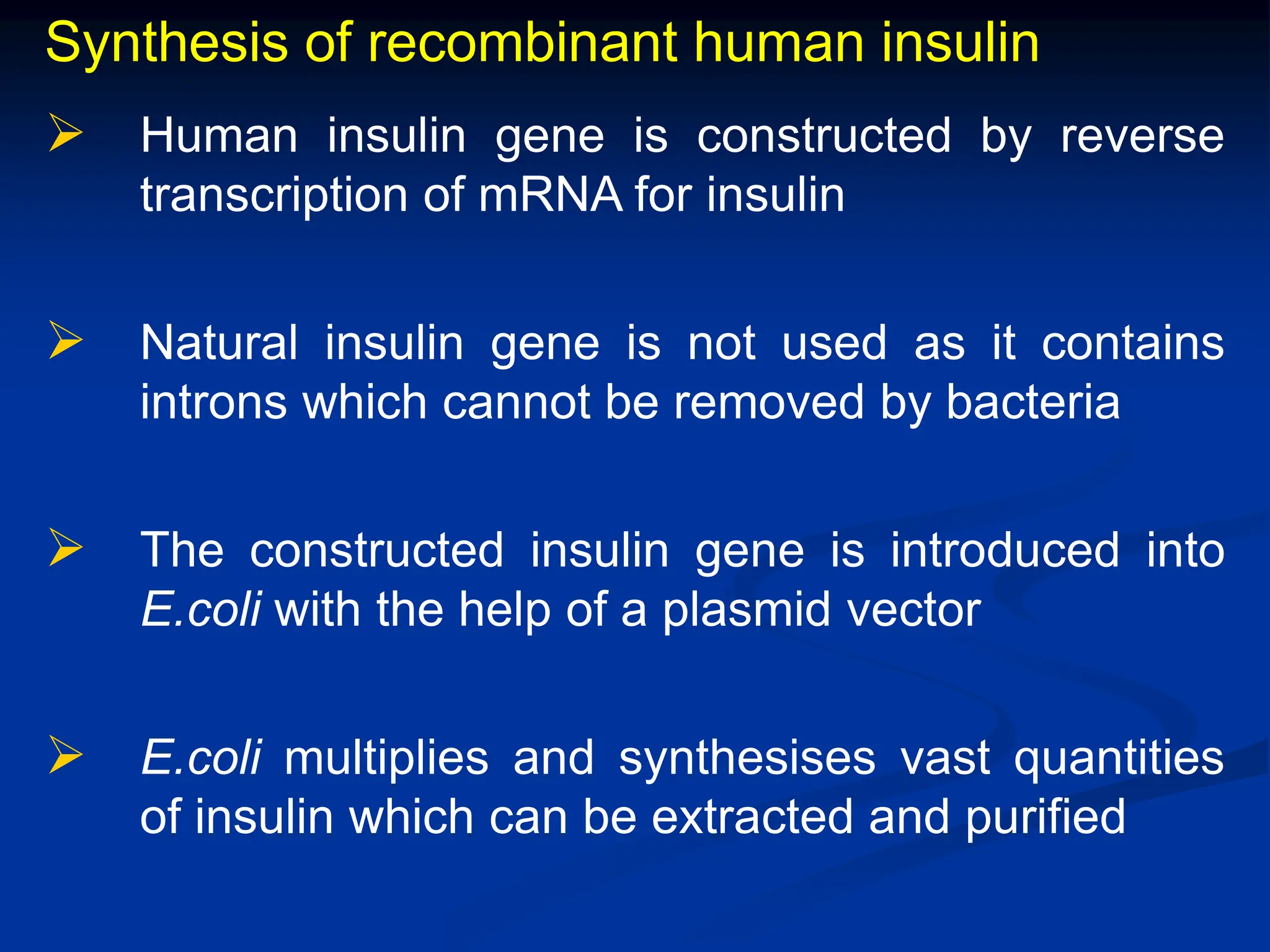 Synthesis of recombinant human insulin
 Human insulin gene is constructed by reverse
transcription of mRNA for insulin
 Natural insulin gene is not used as it contains
introns which cannot be removed by bacteria
 The constructed insulin gene is introduced into
E.coli with the help of a plasmid vector
 E.coli multiplies and synthesises vast quantities
of insulin which can be extracted and purified
 