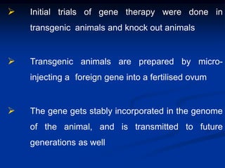  Initial trials of gene therapy were done in
transgenic animals and knock out animals
 Transgenic animals are prepared by micro-
injecting a foreign gene into a fertilised ovum
 The gene gets stably incorporated in the genome
of the animal, and is transmitted to future
generations as well
 