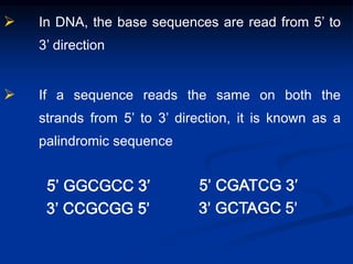  In DNA, the base sequences are read from 5’ to
3’ direction
 If a sequence reads the same on both the
strands from 5’ to 3’ direction, it is known as a
palindromic sequence
 