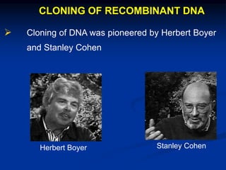 CLONING OF RECOMBINANT DNA
 Cloning of DNA was pioneered by Herbert Boyer
and Stanley Cohen
Herbert Boyer Stanley Cohen
 