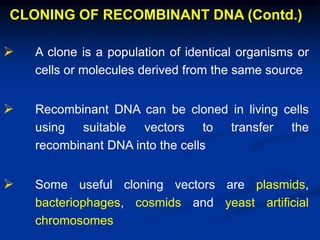 CLONING OF RECOMBINANT DNA (Contd.)
 A clone is a population of identical organisms or
cells or molecules derived from the same source
 Recombinant DNA can be cloned in living cells
using suitable vectors to transfer the
recombinant DNA into the cells
 Some useful cloning vectors are plasmids,
bacteriophages, cosmids and yeast artificial
chromosomes
 