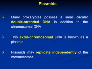 Plasmids
 Many prokaryotes possess a small circular
double-stranded DNA in addition to the
chromosomal DNA
 This extra-chromosomal DNA is known as a
plasmid
 Plasmids may replicate independently of the
chromosomes
 