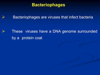 Bacteriophages
 Bacteriophages are viruses that infect bacteria
 These viruses have a DNA genome surrounded
by a protein coat
 
