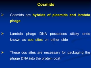 Cosmids
 Cosmids are hybrids of plasmids and lambda
phage
 Lambda phage DNA possesses sticky ends
known as cos sites on either side
 These cos sites are necessary for packaging the
phage DNA into the protein coat
 