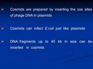  Cosmids are prepared by inserting the cos sites
of phage DNA in plasmids
 Cosmids can infect E.coli just like plasmids
 DNA fragments up to 45 kb in size can be
inserted in cosmids
 