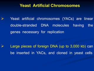 Yeast Artificial Chromosomes
 Yeast artificial chromosomes (YACs) are linear
double-stranded DNA molecules having the
genes necessary for replication
 Large pieces of foreign DNA (up to 3,000 kb) can
be inserted in YACs, and cloned in yeast cells
 