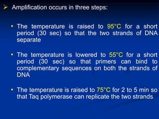  Amplification occurs in three steps:
• The temperature is raised to 95°C for a short
period (30 sec) so that the two strands of DNA
separate
• The temperature is lowered to 55°C for a short
period (30 sec) so that primers can bind to
complementary sequences on both the strands of
DNA
• The temperature is raised to 75°C for 2 to 5 min so
that Taq polymerase can replicate the two strands
 