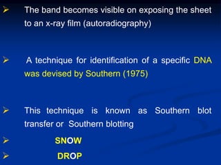  The band becomes visible on exposing the sheet
to an x-ray film (autoradiography)
 A technique for identification of a specific DNA
was devised by Southern (1975)
 This technique is known as Southern blot
transfer or Southern blotting
 SNOW
 DROP
 