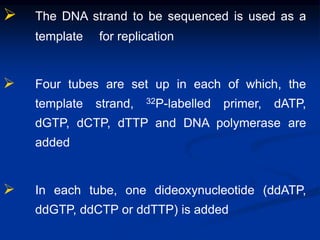  The DNA strand to be sequenced is used as a
template for replication
 Four tubes are set up in each of which, the
template strand, 32P-labelled primer, dATP,
dGTP, dCTP, dTTP and DNA polymerase are
added
 In each tube, one dideoxynucleotide (ddATP,
ddGTP, ddCTP or ddTTP) is added
 
