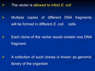  The vector is allowed to infect E. coli
 Multiple copies of different DNA fragments
will be formed in different E. coli cells
 Each clone of the vector would contain one DNA
fragment
 A collection of such clones is known as genomic
library of the organism
 