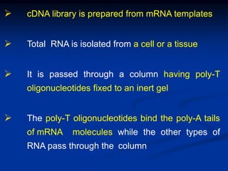  cDNA library is prepared from mRNA templates
 Total RNA is isolated from a cell or a tissue
 It is passed through a column having poly-T
oligonucleotides fixed to an inert gel
 The poly-T oligonucleotides bind the poly-A tails
of mRNA molecules while the other types of
RNA pass through the column
 