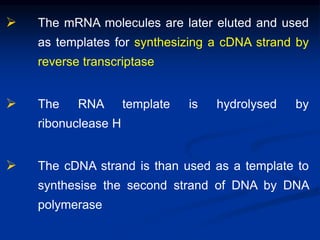  The mRNA molecules are later eluted and used
as templates for synthesizing a cDNA strand by
reverse transcriptase
 The RNA template is hydrolysed by
ribonuclease H
 The cDNA strand is than used as a template to
synthesise the second strand of DNA by DNA
polymerase
 