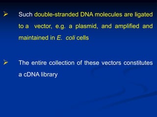  Such double-stranded DNA molecules are ligated
to a vector, e.g. a plasmid, and amplified and
maintained in E. coli cells
 The entire collection of these vectors constitutes
a cDNA library
 