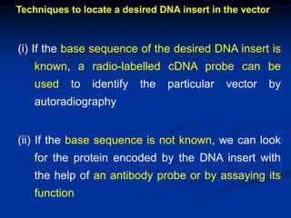 Techniques to locate a desired DNA insert in the vector
(i) If the base sequence of the desired DNA insert is
known, a radio-labelled cDNA probe can be
used to identify the particular vector by
autoradiography
(ii) If the base sequence is not known, we can look
for the protein encoded by the DNA insert with
the help of an antibody probe or by assaying its
function
 