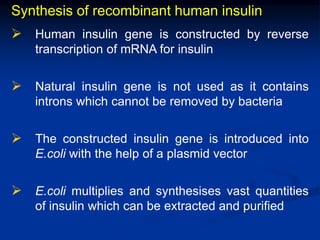 Synthesis of recombinant human insulin
 Human insulin gene is constructed by reverse
transcription of mRNA for insulin
 Natural insulin gene is not used as it contains
introns which cannot be removed by bacteria
 The constructed insulin gene is introduced into
E.coli with the help of a plasmid vector
 E.coli multiplies and synthesises vast quantities
of insulin which can be extracted and purified
 