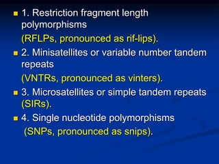  1. Restriction fragment length
polymorphisms
(RFLPs, pronounced as rif-lips).
 2. Minisatellites or variable number tandem
repeats
(VNTRs, pronounced as vinters).
 3. Microsatellites or simple tandem repeats
(SIRs).
 4. Single nucleotide polymorphisms
(SNPs, pronounced as snips).
 