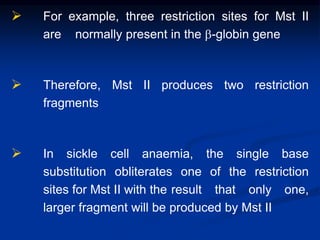  For example, three restriction sites for Mst II
are normally present in the b-globin gene
 Therefore, Mst II produces two restriction
fragments
 In sickle cell anaemia, the single base
substitution obliterates one of the restriction
sites for Mst II with the result that only one,
larger fragment will be produced by Mst II
 