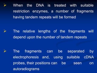  When the DNA is treated with suitable
restriction enzymes, a number of fragments
having tandem repeats will be formed
 The relative lengths of the fragments will
depend upon the number of tandem repeats
 The fragments can be separated by
electrophoresis and, using suitable cDNA
probes, their positions can be seen on
autoradiograms
 
