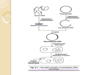 RECOMBINANT DNA TECHNOLOGY AND DRUG DISCOVERY.pptx
