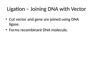 Ligation – Joining DNA with Vector
• Cut vector and gene are joined using DNA
ligase.
• Forms recombinant DNA molecule.
 