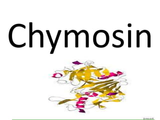 Chymosin
 