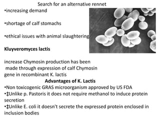 Search for an alternative rennet
•increasing demand

•shortage of calf stomachs

•ethical issues with animal slaughtering

Kluyveromyces lactis

increase Chymosin production has been
 made through expression of calf Chymosin
gene in recombinant K. lactis
                     Advantages of K. Lactis
•Non toxicogenic GRAS microorganism approved by US FDA
•‡Unlike p. Pastoris it does not require methanol to induce protein
secretion
•‡Unlike E. coli it doesn't secrete the expressed protein enclosed in
inclusion bodies
 