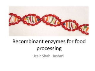 Recombinant enzymes for food
        processing
       Uzair Shah Hashmi
 