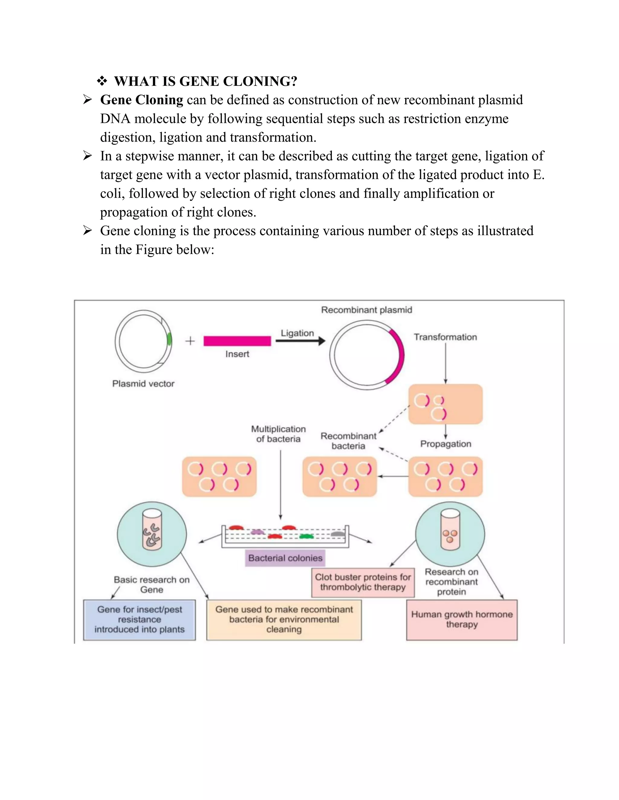  WHAT IS GENE CLONING?
 Gene Cloning can be defined as construction of new recombinant plasmid
DNA molecule by following sequential steps such as restriction enzyme
digestion, ligation and transformation.
 In a stepwise manner, it can be described as cutting the target gene, ligation of
target gene with a vector plasmid, transformation of the ligated product into E.
coli, followed by selection of right clones and finally amplification or
propagation of right clones.
 Gene cloning is the process containing various number of steps as illustrated
in the Figure below:
 