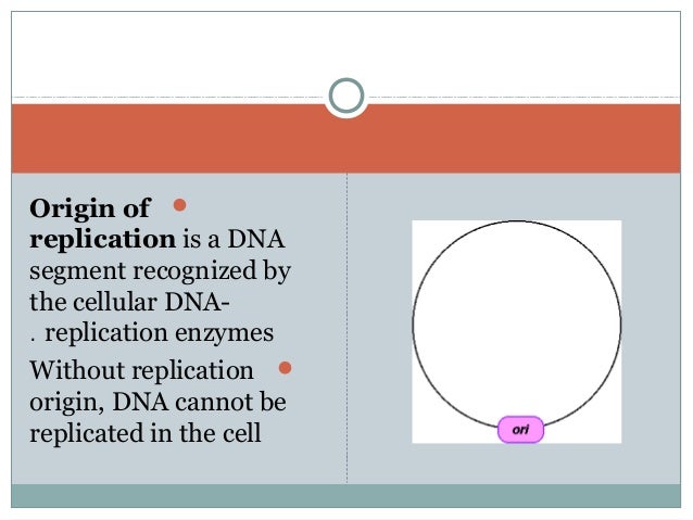 Restriction Enzymes Are Used Naturally In A Bacterial Cell To Restriction Enzymes Are Used Naturally In A Bacterial Cell To