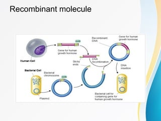 Comprehensive Overview of Recombinant DNA Technology and Its ...