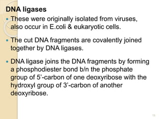 DNA ligases 
 These were originally isolated from viruses, 
also occur in E.coli & eukaryotic cells. 
 The cut DNA fragments are covalently joined 
together by DNA ligases. 
 DNA ligase joins the DNA fragments by forming 
a phosphodiester bond b/n the phosphate 
group of 5’-carbon of one deoxyribose with the 
hydroxyl group of 3’-carbon of another 
deoxyribose. 
13 
 