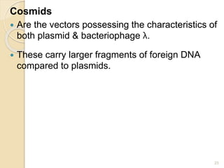 Cosmids 
 Are the vectors possessing the characteristics of 
both plasmid & bacteriophage λ. 
 These carry larger fragments of foreign DNA 
compared to plasmids. 
23 
 