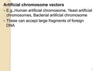 Artificial chromosome vectors 
 E.g.,Human artificial chromosome, Yeast artificial 
chromosomes, Bacterial artificial chromosome 
 These can accept large fragments of foreign 
DNA 
24 
 