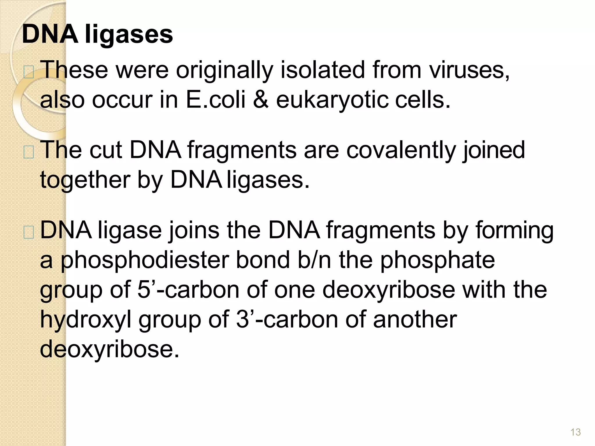 DNA ligases
13
These were originally isolated from viruses,
also occur in E.coli & eukaryotic cells.
The cut DNA fragments are covalently joined
together by DNA ligases.
DNA ligase joins the DNA fragments by forming
a phosphodiester bond b/n the phosphate
group of 5’-carbon of one deoxyribose with the
hydroxyl group of 3’-carbon of another
deoxyribose.
 