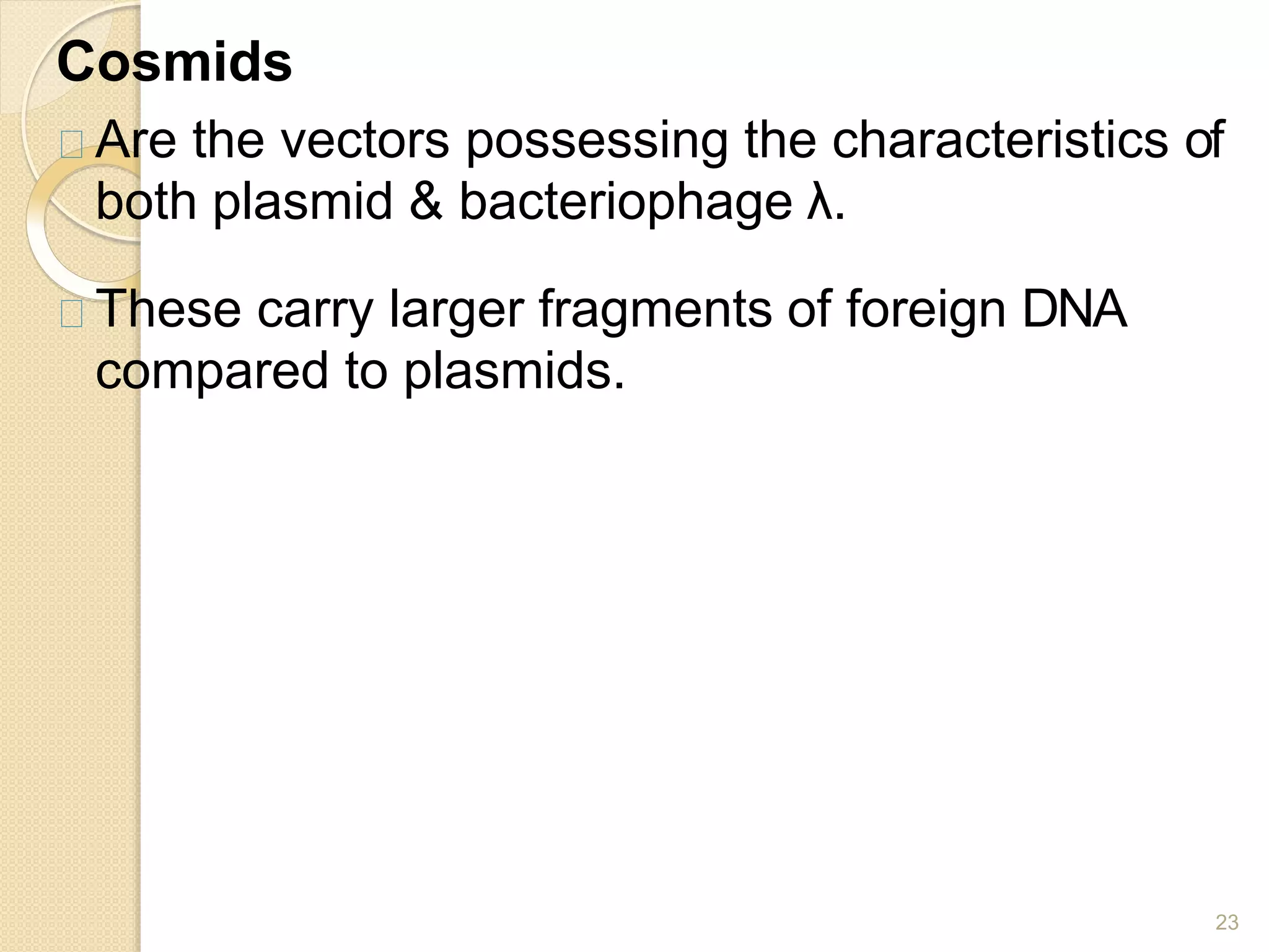 Cosmids
23
Are the vectors possessing the characteristics of
both plasmid & bacteriophage λ.
These carry larger fragments of foreign DNA
compared to plasmids.
 