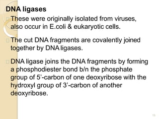 DNA ligases
13
These were originally isolated from viruses,
also occur in E.coli & eukaryotic cells.
The cut DNA fragments are covalently joined
together by DNA ligases.
DNA ligase joins the DNA fragments by forming
a phosphodiester bond b/n the phosphate
group of 5’-carbon of one deoxyribose with the
hydroxyl group of 3’-carbon of another
deoxyribose.
 