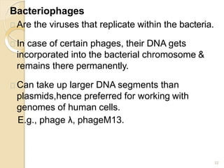 Bacteriophages
22
Are the viruses that replicate within the bacteria.
In case of certain phages, their DNA gets
incorporated into the bacterial chromosome &
remains there permanently.
Can take up larger DNA segments than
plasmids,hence preferred for working with
genomes of human cells.
E.g., phage λ, phageM13.
 