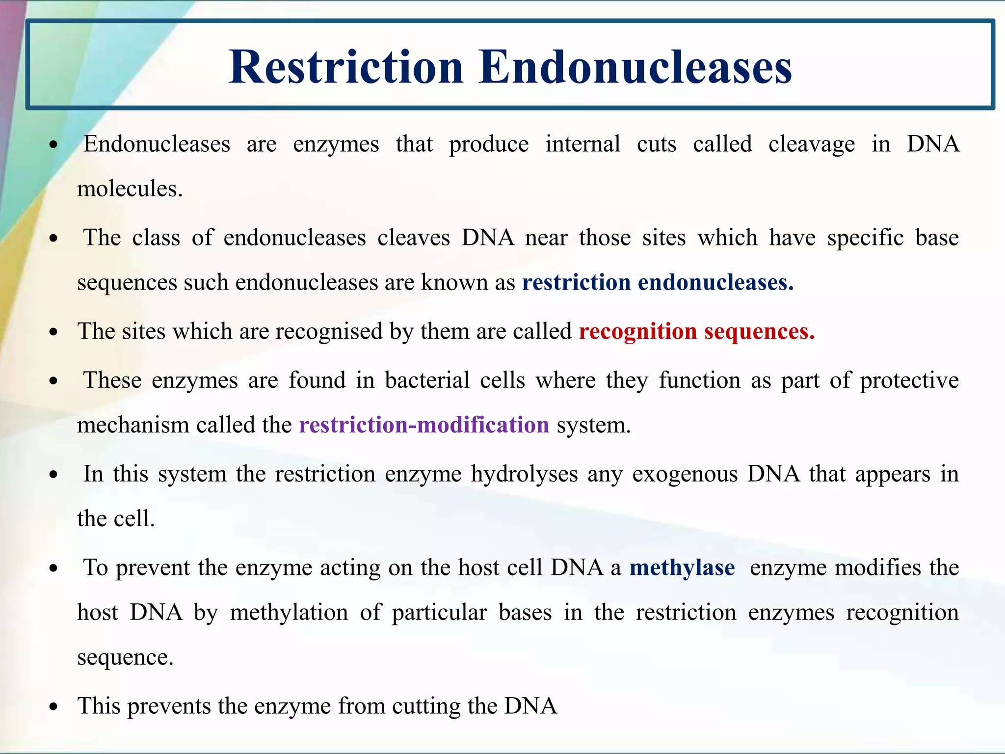 Restriction Endonucleases
 Endonucleases are enzymes that produce internal cuts called cleavage in DNA
molecules.
 The class of endonucleases cleaves DNA near those sites which have specific base
sequences such endonucleases are known as restriction endonucleases.
 The sites which are recognised by them are called recognition sequences.
 These enzymes are found in bacterial cells where they function as part of protective
mechanism called the restriction-modification system.
 In this system the restriction enzyme hydrolyses any exogenous DNA that appears in
the cell.
 To prevent the enzyme acting on the host cell DNA a methylase enzyme modifies the
host DNA by methylation of particular bases in the restriction enzymes recognition
sequence.
 This prevents the enzyme from cutting the DNA
 