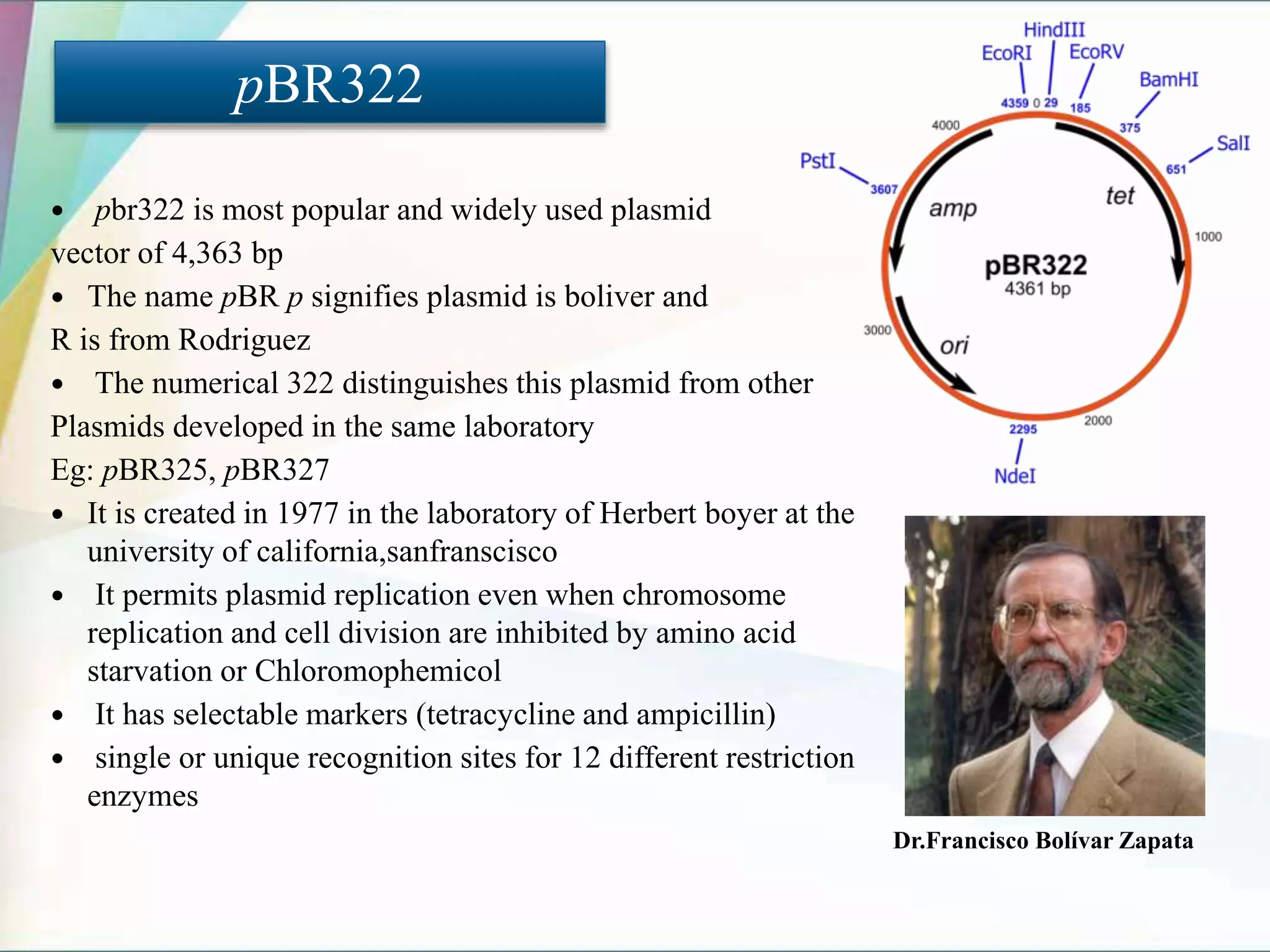  pbr322 is most popular and widely used plasmid
vector of 4,363 bp
 The name pBR p signifies plasmid is boliver and
R is from Rodriguez
 The numerical 322 distinguishes this plasmid from other
Plasmids developed in the same laboratory
Eg: pBR325, pBR327
 It is created in 1977 in the laboratory of Herbert boyer at the
university of california,sanfranscisco
 It permits plasmid replication even when chromosome
replication and cell division are inhibited by amino acid
starvation or Chloromophemicol
 It has selectable markers (tetracycline and ampicillin)
 single or unique recognition sites for 12 different restriction
enzymes
pBR322
Dr.Francisco Bolívar Zapata
 