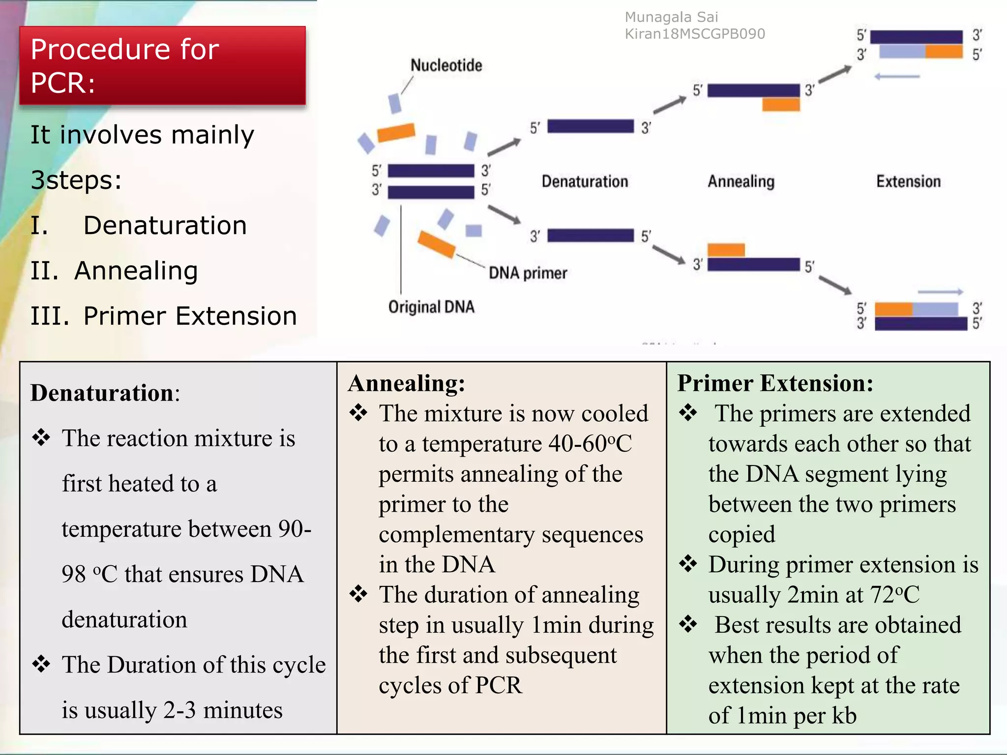 Procedure for
PCR:
It involves mainly
3steps:
I. Denaturation
II. Annealing
III. Primer Extension
Denaturation:
 The reaction mixture is
first heated to a
temperature between 90-
98 oC that ensures DNA
denaturation
 The Duration of this cycle
is usually 2-3 minutes
Annealing:
 The mixture is now cooled
to a temperature 40-60oC
permits annealing of the
primer to the
complementary sequences
in the DNA
 The duration of annealing
step in usually 1min during
the first and subsequent
cycles of PCR
Primer Extension:
 The primers are extended
towards each other so that
the DNA segment lying
between the two primers
copied
 During primer extension is
usually 2min at 72oC
 Best results are obtained
when the period of
extension kept at the rate
of 1min per kb
Munagala Sai
Kiran18MSCGPB090
 