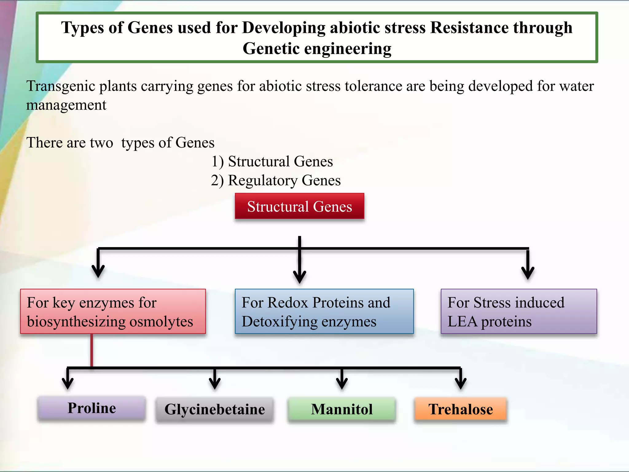 Types of Genes used for Developing abiotic stress Resistance through
Genetic engineering
Transgenic plants carrying genes for abiotic stress tolerance are being developed for water
management
There are two types of Genes
1) Structural Genes
2) Regulatory Genes
For Stress induced
LEA proteins
For key enzymes for
biosynthesizing osmolytes
For Redox Proteins and
Detoxifying enzymes
Structural Genes
Proline Glycinebetaine Mannitol Trehalose
 